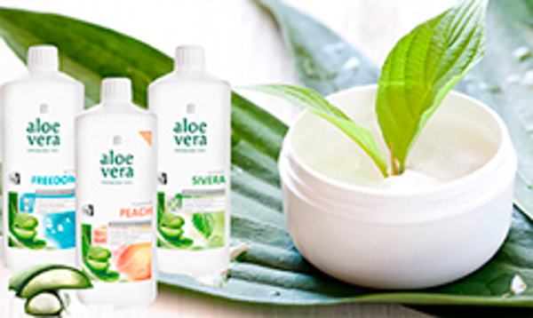 Franquicia Aloe Vera Actividad