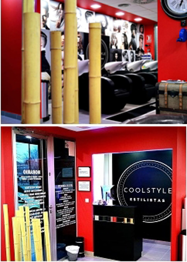 Franquicia Coolstyle Estilistas