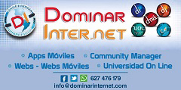 Franquicia Dominar Internet