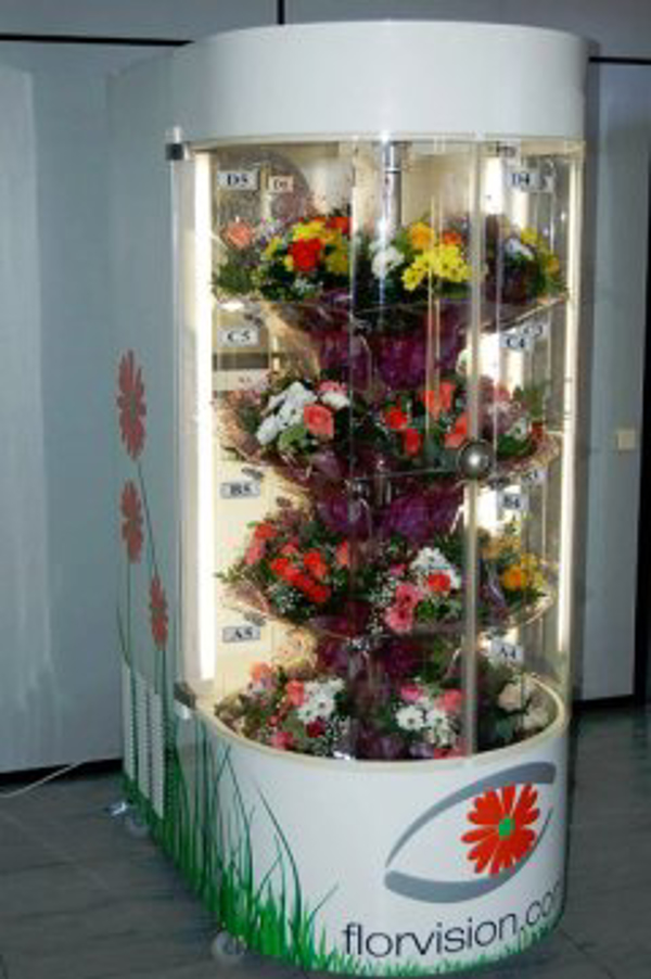 Franquicia Florvisión