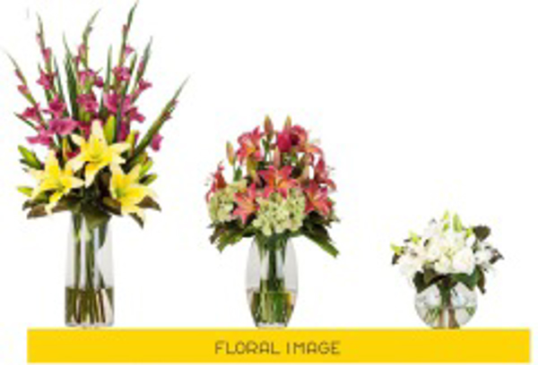 Franquicia Floral Image