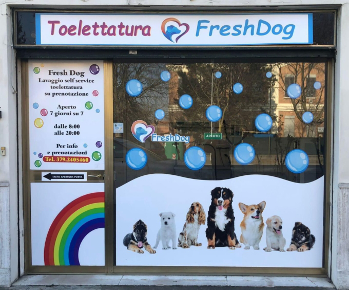 Franquicia Freshdog