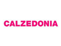 Franquicia Calzedonia