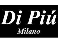 Franquicia Di Piu Milano