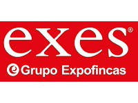 franquicia Exes - Grupo Expofincas (Inmobiliarias / Financieras)