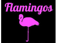 franquicia Flamingos Vintage Kilo (Moda joven)