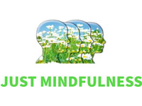 franquicia Just Mindfulness (Clínicas  / Salud / Ópticas)