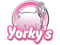 Yorky´s