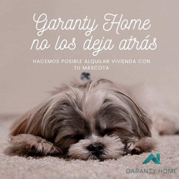 FELIZ Día Mundial de los Animales con GARANTY HOME