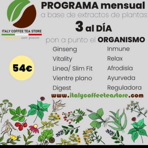 200 capsulas bebidas en 20 segundos de papel organico cafes, tes, tisanas, chocolates, compostables de Italy Coffee Tea Store