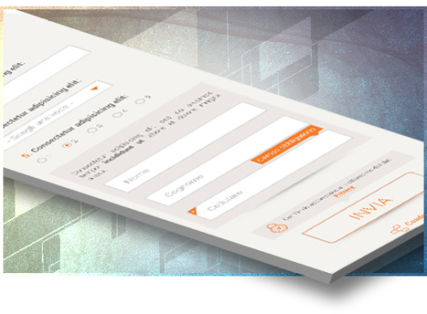 La importancia de Landing Survey en Franquicia A+Digital