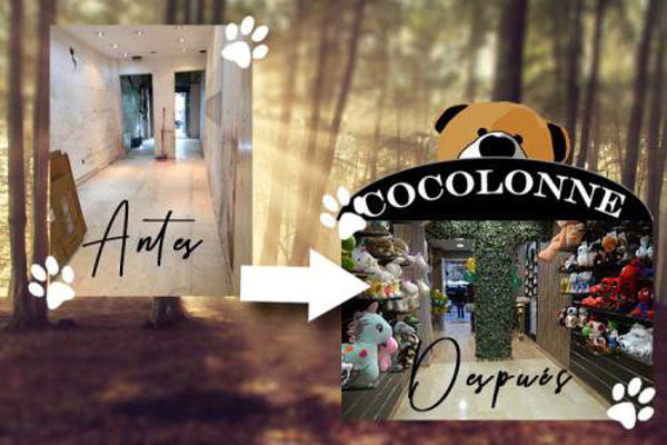 COCOLONNE, UN CAMBIO A MEJOR