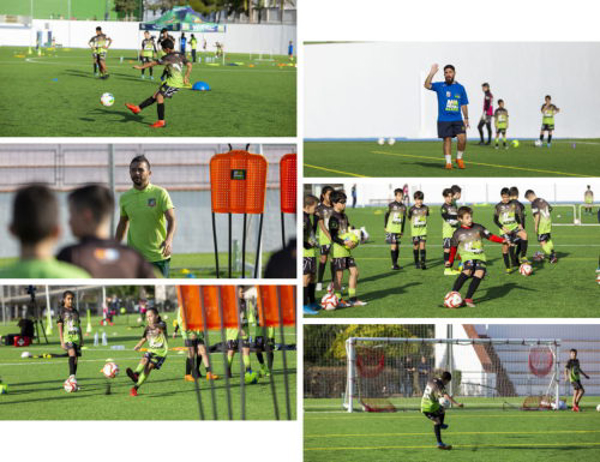 Servicio de Consultoría Acatec