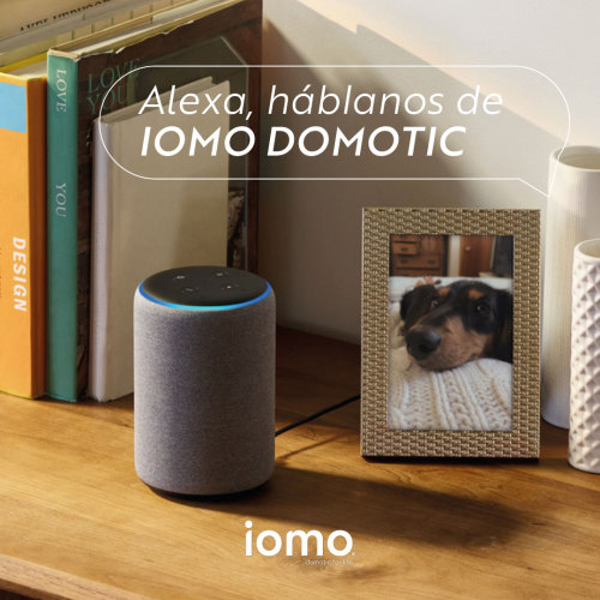 ¿Cuánto sabes sobre DOMÓTICA INTELIGENTE? Conoce IOMO, la nueva empresa puntera en este nuevo sector.