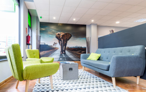 Se prevee un año 2020 de crecimiento para la franquicia Zafiro Tours 