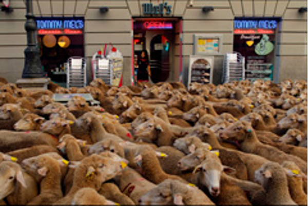 La franquicia Tommy Mel´s se hace eco en “The Wall Street Journal”