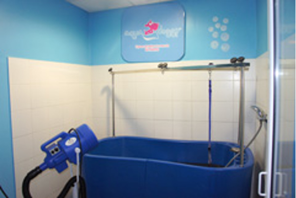 Comienza la expansión en franquicia de Aquadoggy: Lavadero y peluquería de mascotas