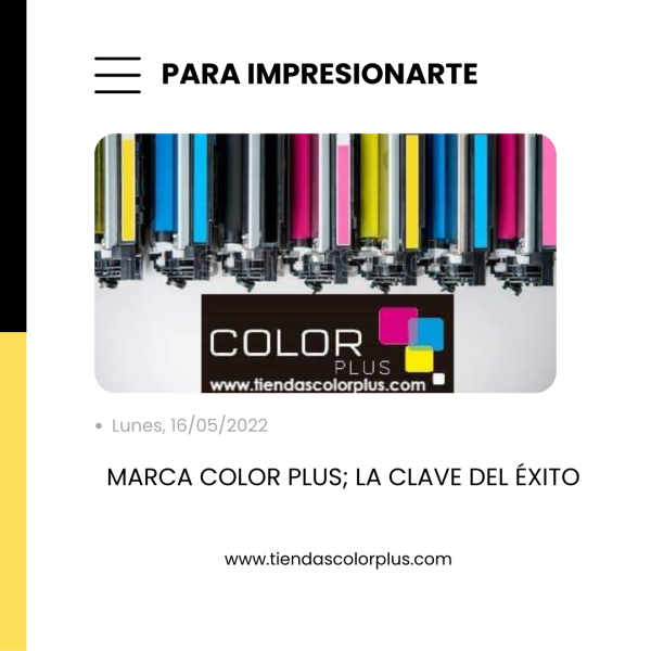 Franquicia Color Plus: La clave del éxito.