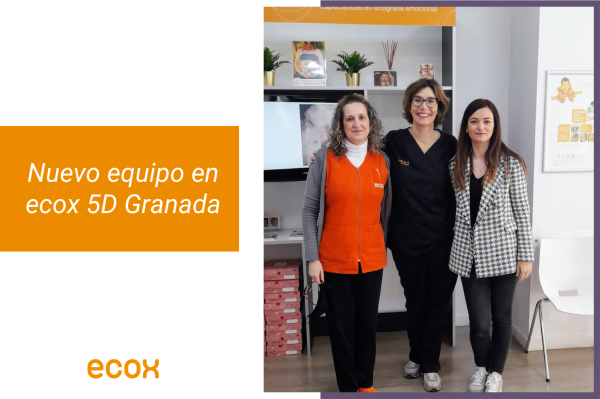 La franquicia Ecox se fortalece en Andalucía: Nuevo equipo en Granada y renovación de su compromiso como centro franquiciado.