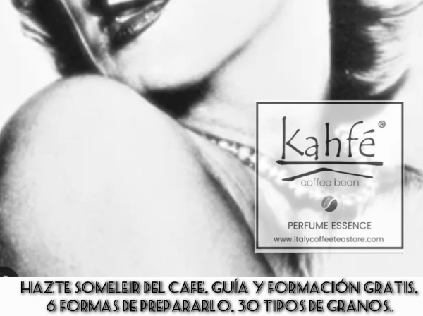 Hazte somelier del cafe, formacion y guia gratis, Italy Coffee Tea Store