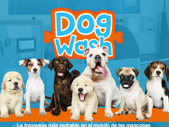 DOG WASH, Ellos se lo merecen¡¡