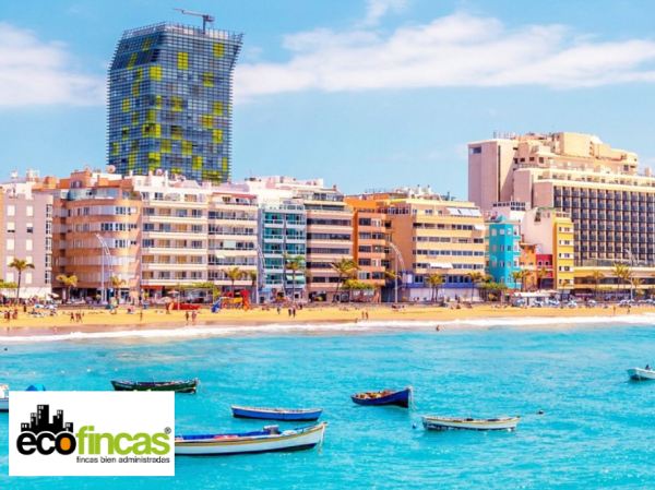 Nueva franquicia de Ecofincas 