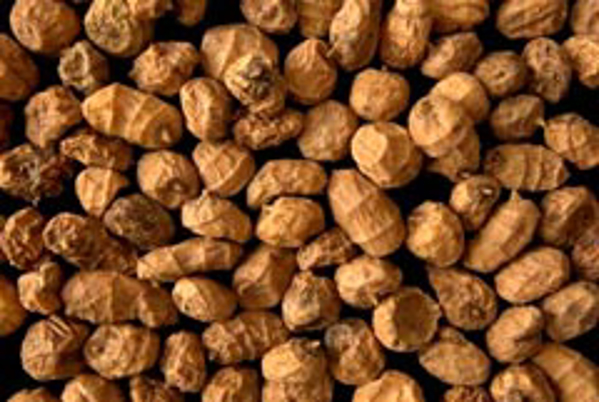 El aceite cosmético que va a revolucionar el sector en las franquicias J'aromas