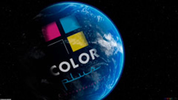 Franquicias Color Plus: una apuesta segura de autoempleo para afrontar la crisis