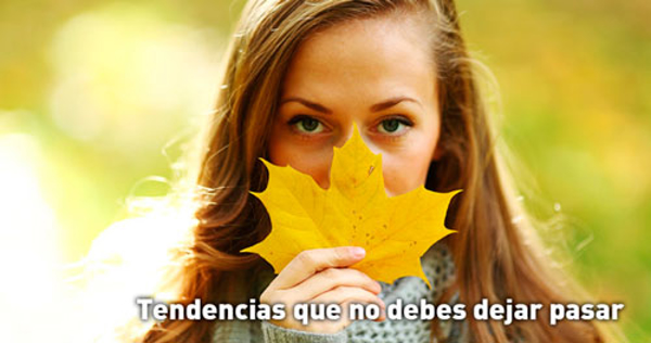 Características de consumo en perfumes analizadas por la franquicia La Botica de los Perfumes