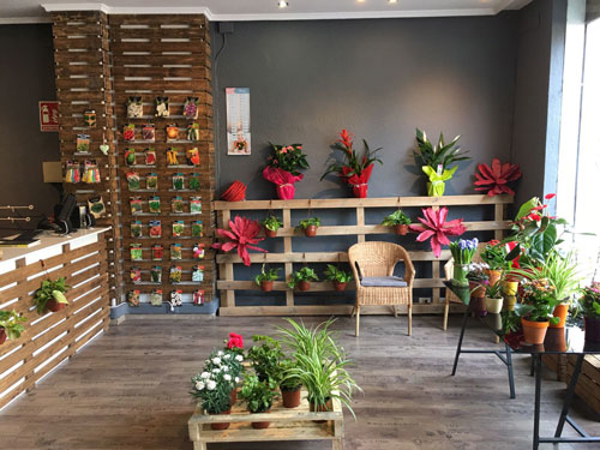 Flores Nuevas abre su segunda franquicia en Valencia