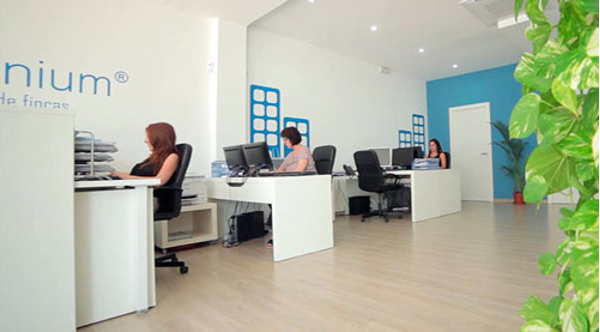 La franquicia Terraminium comienza el año con nuevas aperturas
