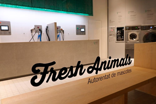 Lavar y secar una mascota en la franquicia Fresh Animals es un 25% más económico que hacerlo en casa