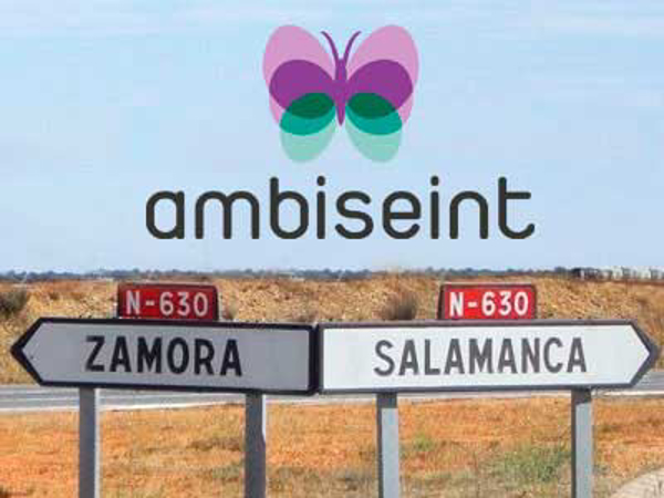 Ambiseint amplía su presencia en Castilla y León y alcanza una red de 85 franquicias 