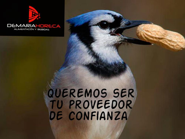 La franquicia Demaria Horeca sacará al mercado unos licores gallegos con la marca Horta do Conde