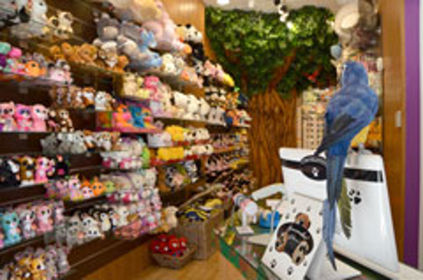 La franquicia Cocolonne, el universo de la madera