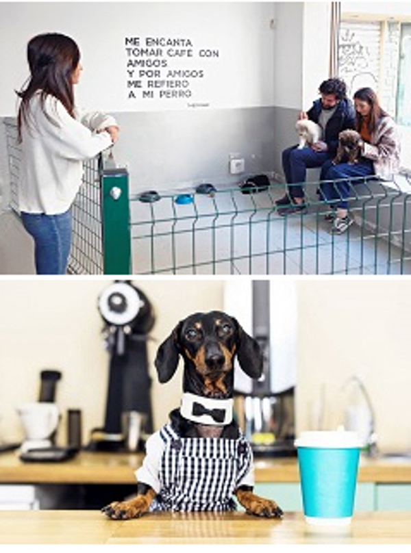 Únete a la revolucionaria y única franquicia theDoger café