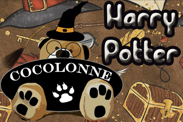 ¡Franquicia Cocolonne sigue ampliando catálogo!