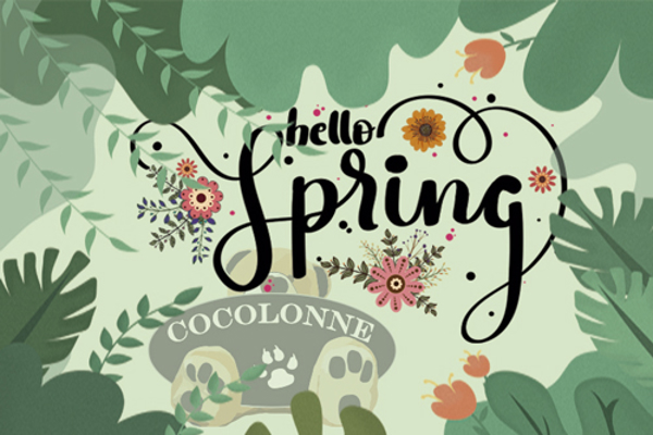 ¡La primavera llega con novedades en franquicia Cocolonne!