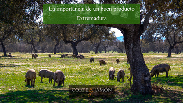 Franquicia Corte y Jamón lleva a FranquiShop Valencia sus dos marcas en expansión