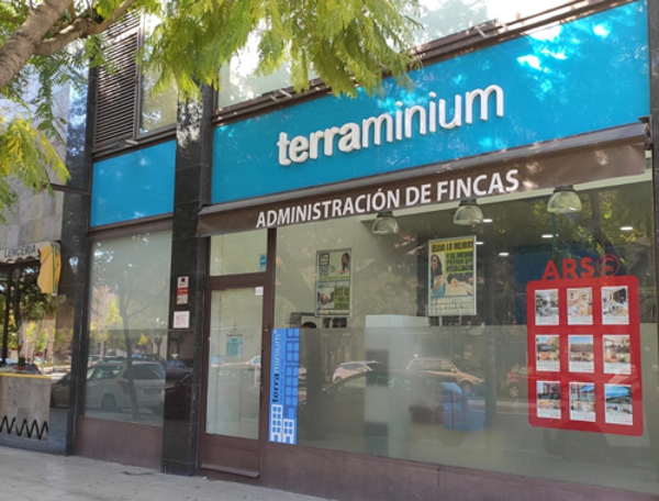 Innovación tecnológica en la franquicia Terraminium: Juntas de vecinos virtuales y WhatsApp