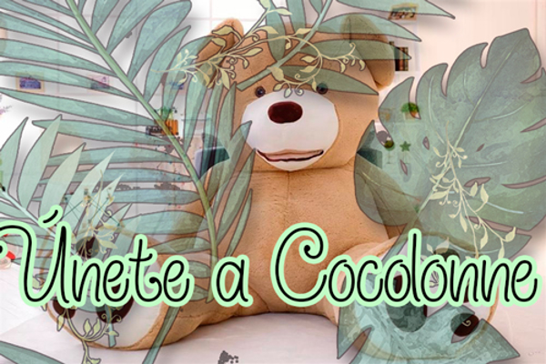 ¡Haz parte de la franquicia Cocolonne!
