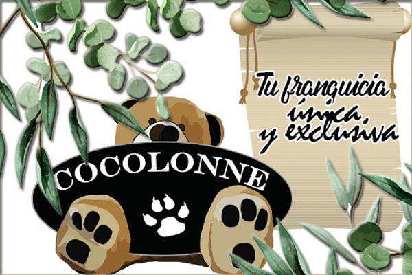 Cocolonne, tu franquicia única y exclusiva 