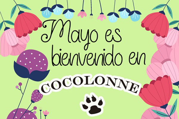 ¡Mayo es bienvenido en las franquicias cocolonne!