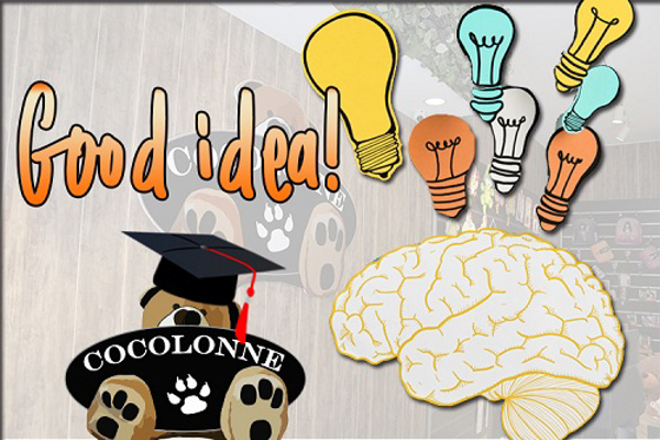 ¡Descubre las ideas que te brinda la franquicia Cocolonne!