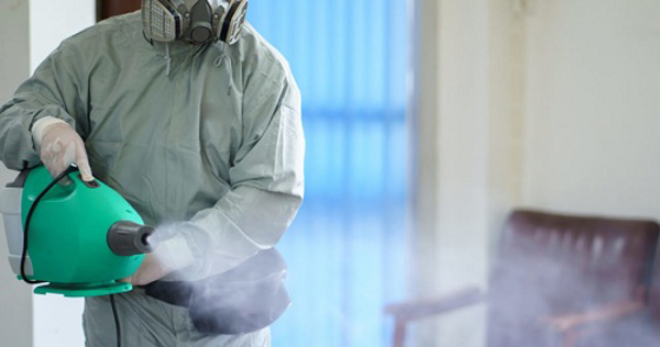 La red de franquicias Eozono firma un nuevo acuerdo de colaboración: Ciencia y Tecnología