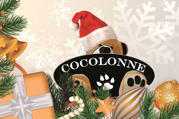 Cocolonne, franquicia innovadora y poco explotada.