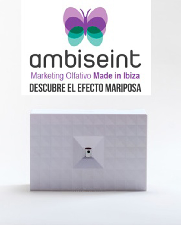 Aumenta el interés del consumidor  por higienizar su casa. Descúbrelo con la franquicia Ambiseint.