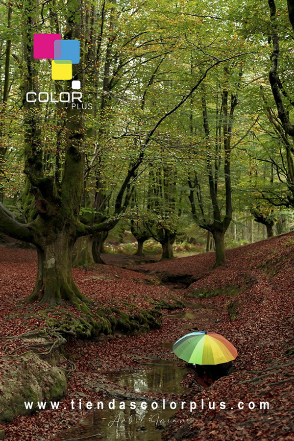 Color Plus; la red de franquicias que se adapta a todo tipo de circunstancias.