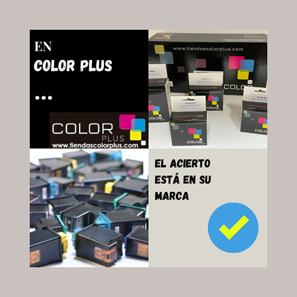 En las franquicia Color Plus el acierto está en su marca.